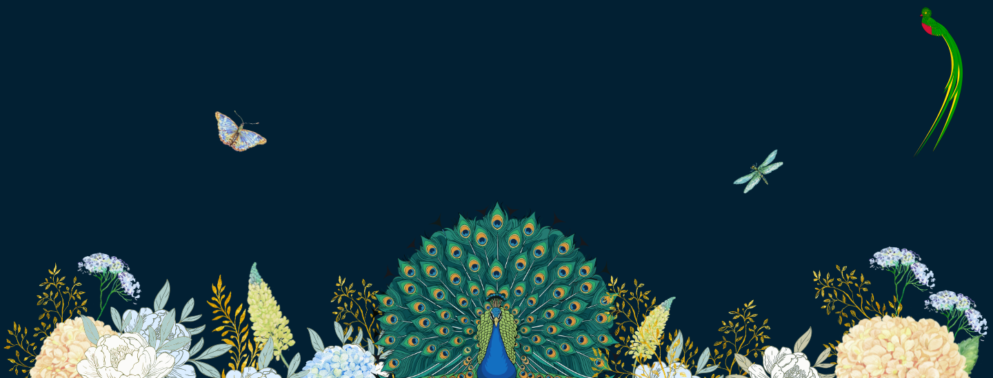 Background-image